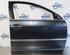 Door VW PHAETON (3D1, 3D2, 3D3, 3D4, 3D6, 3D7, 3D8, 3D9)