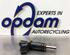 Injector Nozzle PEUGEOT 207 (WA_, WC_), MINI MINI (R56), PEUGEOT 207 SW (WK_), PEUGEOT 308 I (4A_, 4C_)