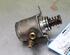 Fuel Pump SEAT LEON (1P1)