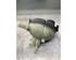 Coolant Expansion Tank MERCEDES-BENZ E-CLASS T-Model (S212), MERCEDES-BENZ E-CLASS (W212)