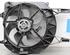 Radiator Electric Fan  Motor RENAULT TRAFIC II Van (FL)