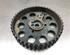 Camshaft Gear VW GOLF VII (5G1, BQ1, BE1, BE2)