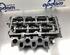 Cylinder Head SKODA FABIA II Combi (545)