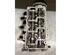 Cylinder Head SKODA FABIA II Combi (545), SKODA ROOMSTER Praktik (5J), VW POLO (6R1, 6C1), VW POLO Van (6R)