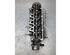 Cylinder Head RENAULT MEGANE III Grandtour (KZ0/1)