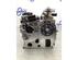 Cylinder Head VW TIGUAN (AD1, AX1), VW TIGUAN ALLSPACE (BW2), AUDI A3 Limousine (8YS)