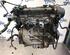 Bare Engine FORD FIESTA VI (CB1, CCN)