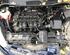 Bare Engine FORD FIESTA VI (CB1, CCN)