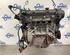 Motor kaal FORD FIESTA VI (CB1, CCN)