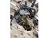 Motor ohne Anbauteile (Benzin) Mazda CX-5 KE, GH  P18619566