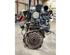 Motor kaal RENAULT CLIO III (BR0/1, CR0/1)