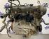 Bare Engine FORD FIESTA VI (CB1, CCN)