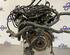 Bare Engine FORD FIESTA VI (CB1, CCN)