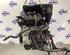 Motor kaal RENAULT CLIO III (BR0/1, CR0/1), RENAULT CLIO IV (BH_)