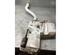 Washer Fluid Tank (Bottle) RENAULT TRAFIC III Van (FG_)