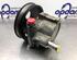 Power steering pump RENAULT KANGOO (KC0/1_)