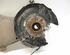 Stub Axle BMW 5er (F10)