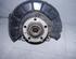 Stub Axle VW Passat Variant (365)