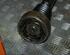 Drive Shaft AUDI A3 (8P1), AUDI A3 Sportback (8PA)