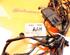 Wiring Harness FORD Focus III Stufenheck (--)