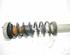 Suspension Strut BMW 5er (E60)