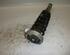 Suspension Strut BMW 5er (E60)