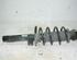 Suspension Strut SKODA Fabia II (542)