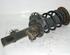 Suspension Strut FORD Galaxy (WA6), FORD S-Max (WA6)