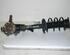 Suspension Strut FORD C-Max (DM2), FORD Focus C-Max (--)