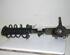 Suspension Strut FORD C-Max (DM2), FORD Focus C-Max (--)