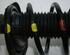 Suspension Strut FORD C-Max (DM2), FORD Focus C-Max (--)