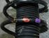 Suspension Strut FORD Focus III Turnier (--)