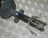 Suspension Strut DACIA Duster (HM)