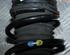 Suspension Strut FIAT Grande Punto (199), FIAT Punto (199), FIAT Punto Evo (199)