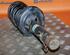 Suspension Strut VW Bora Variant (1J6)