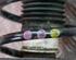 Suspension Strut FORD Galaxy (WA6), FORD S-Max (WA6)