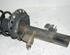 Suspension Strut FORD GALAXY (WA6), FORD S-MAX (WA6)