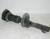 Shock Absorber VW Polo (9N)