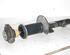 Shock Absorber SEAT IBIZA III (6L1)