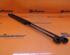 Gas Spring Rear Window FORD Kuga I (--)