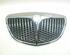 Radiator Grille FIAT Idea (350), LANCIA Musa (350)