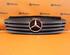 Radiator Grille MERCEDES-BENZ Vaneo (414)