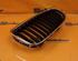 Radiator Grille BMW 3 Touring (E91)