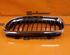 Radiator Grille BMW 3 Touring (E91)