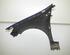 Spatbord RENAULT Clio III (BR0/1, CR0/1), RENAULT Clio IV (BH)