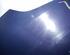 Motorhaube BLAU FIAT GRANDE PUNTO (199) 1.2 48 KW