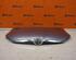 Motorhaube SATIN GREY MET (F5X) SKODA FABIA II COMBI (545) 1.2 TSI 63 KW