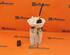 Fuel Pump FORD Focus III Stufenheck (--)