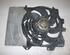 Radiator Electric Fan  Motor PEUGEOT 207 (WA, WC)