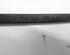 Wiper Arm AUDI A5 Sportback (8TA)